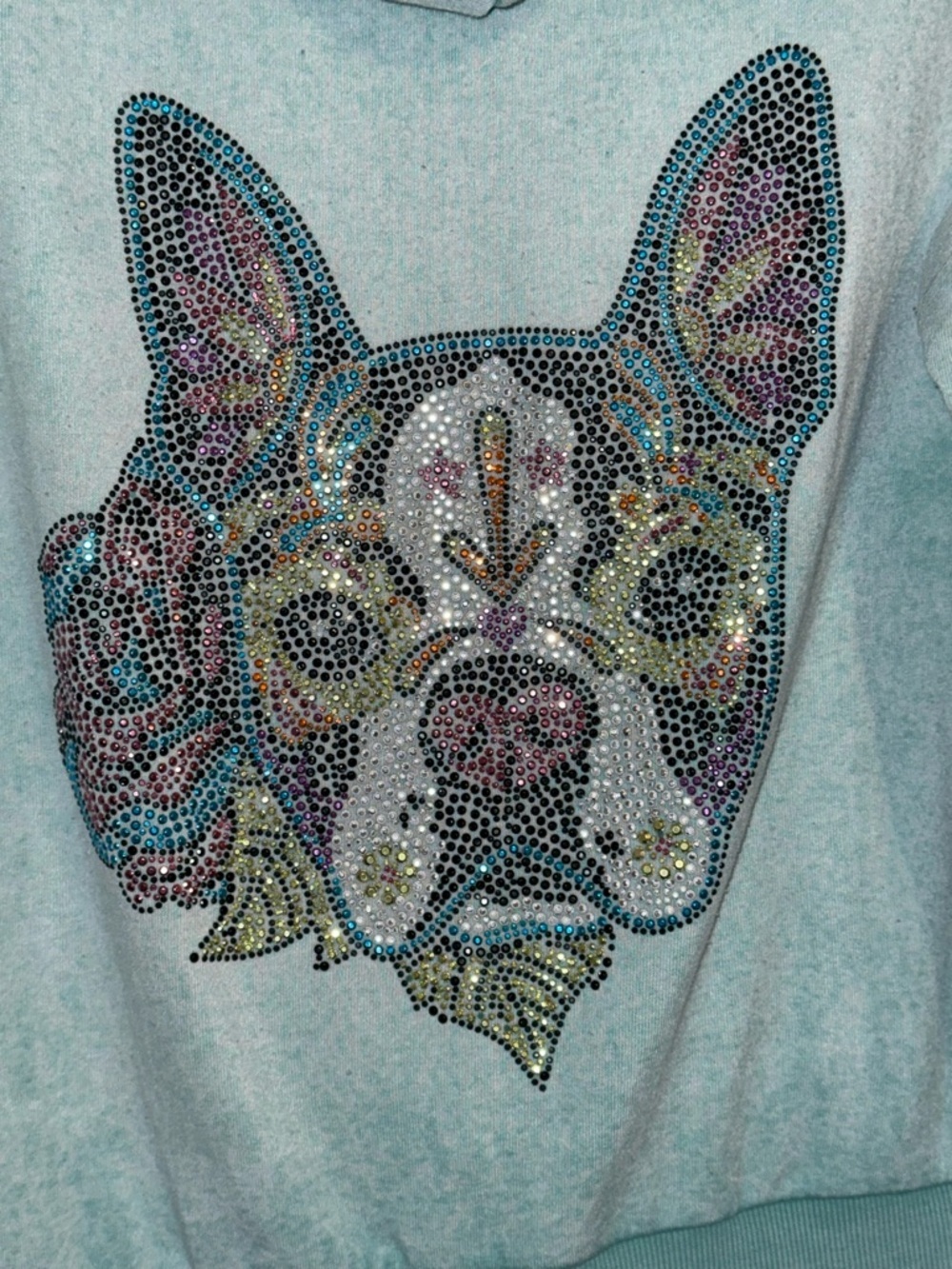 Butter Super Soft Rhinestone French Bulldog Zip Hoodie XL Aqua Dog Graphic - Picture 7 of 8